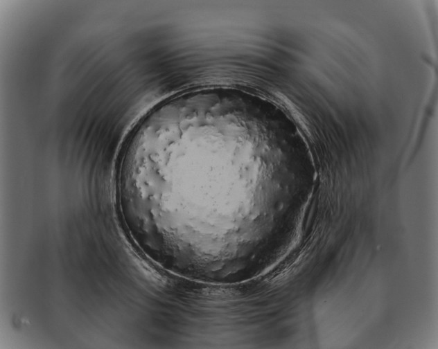 X0000091330795200708241159