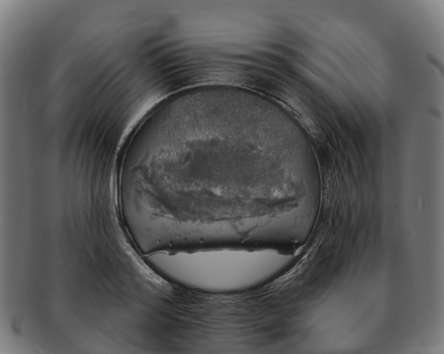 X0000091330796200708241159