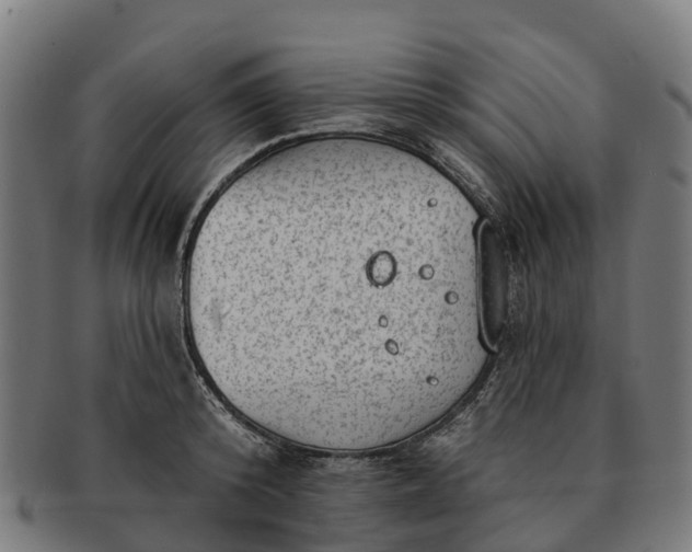 X0000091330800200708241159