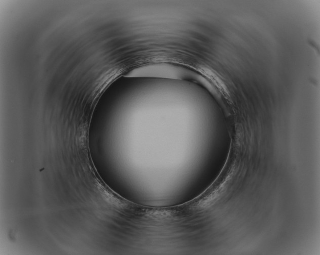 X0000091330801200708241159