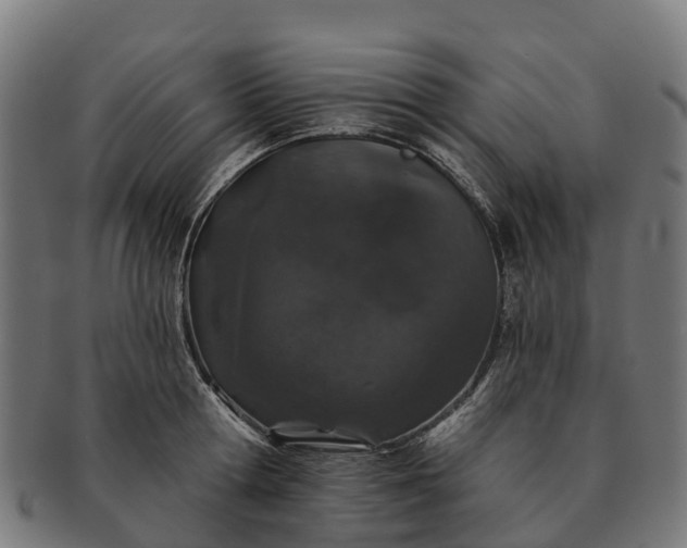 X0000091330802200708241159