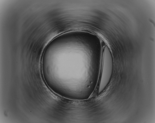 X0000091330803200708241159