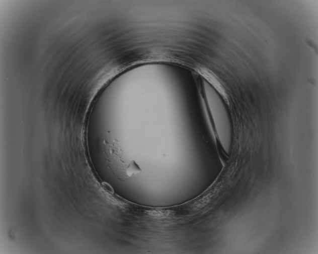 X0000091330805200708241159