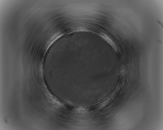 X0000091330806200708241159