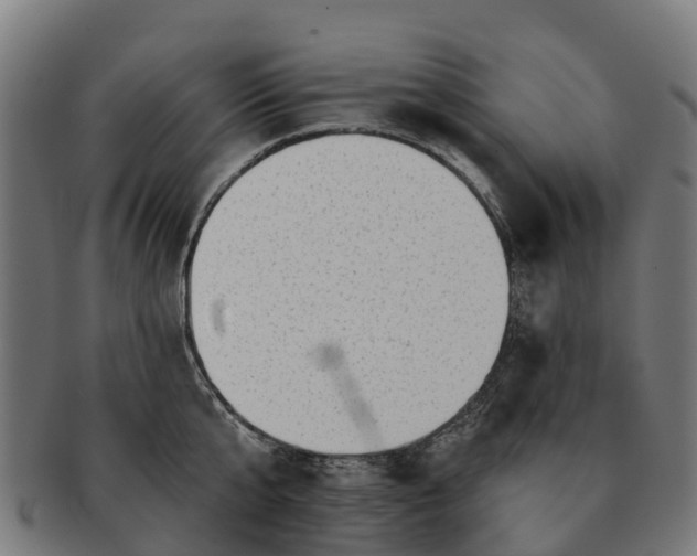 X0000091330807200708241159