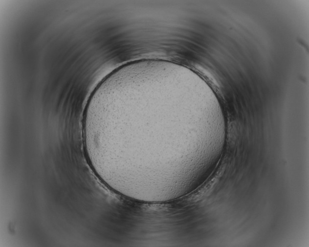 X0000091330808200708241159