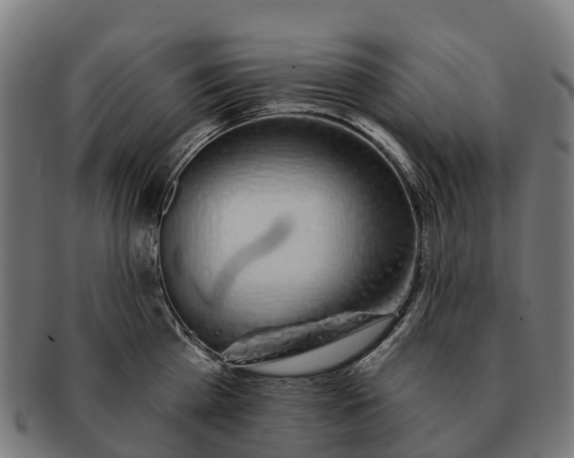 X0000091330809200708241159