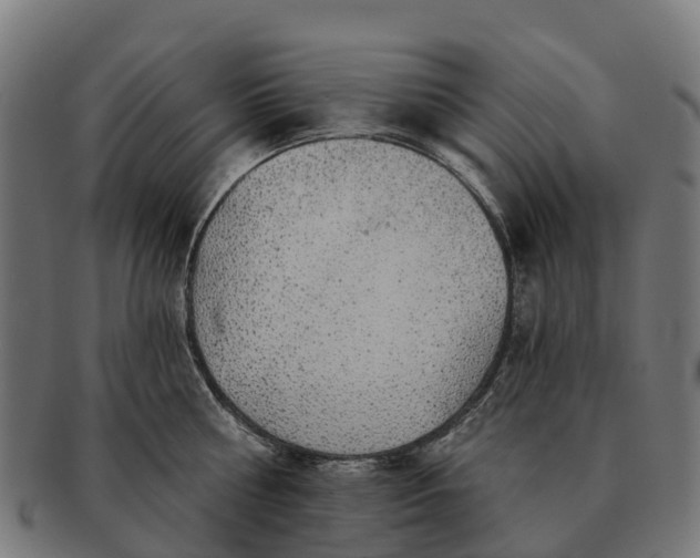 X0000091330810200708241159