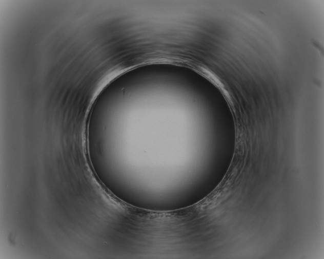 X0000091330811200708241159