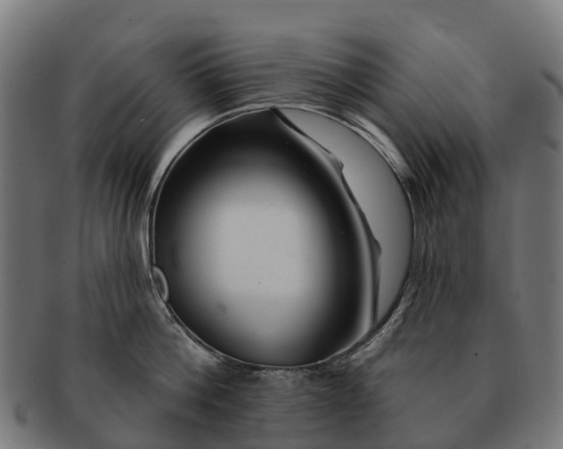 X0000091330812200708241159