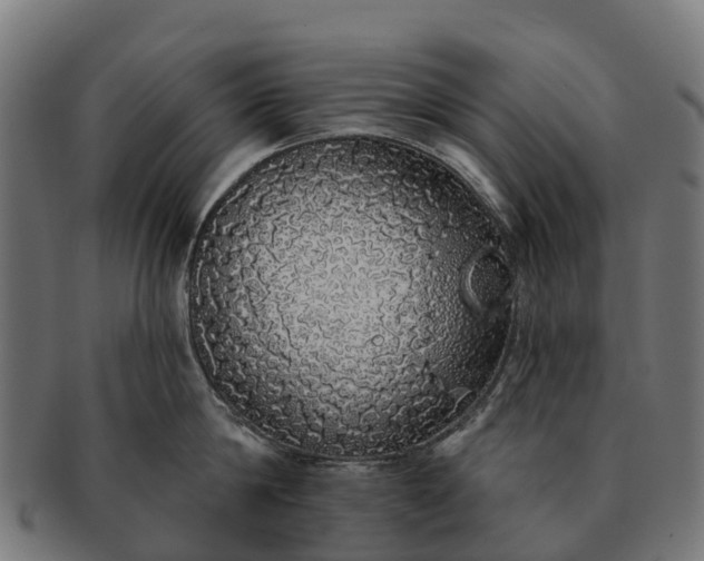 X0000091330814200708241159