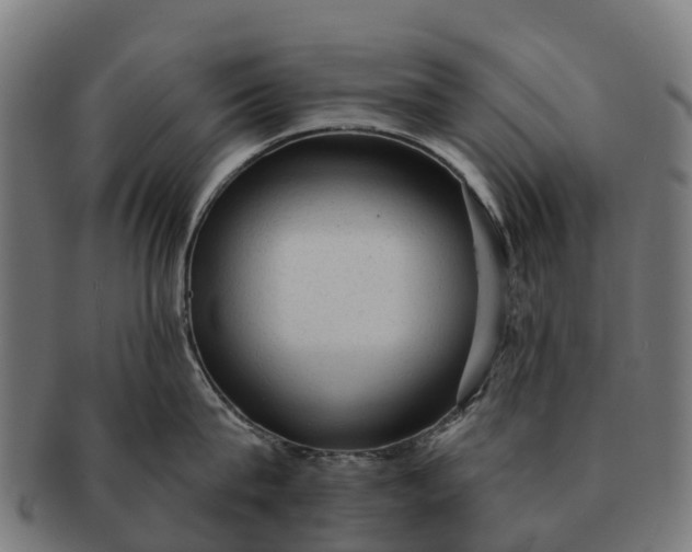 X0000091330815200708241159