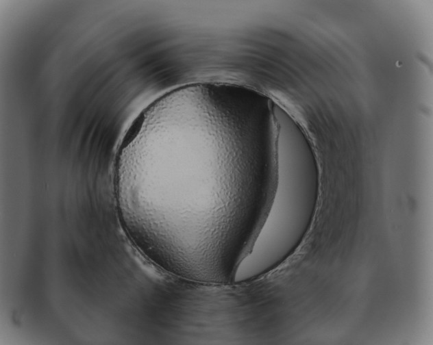 X0000091330816200708241159