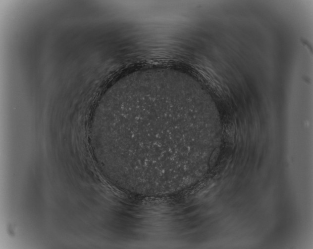 X0000091330817200708241158