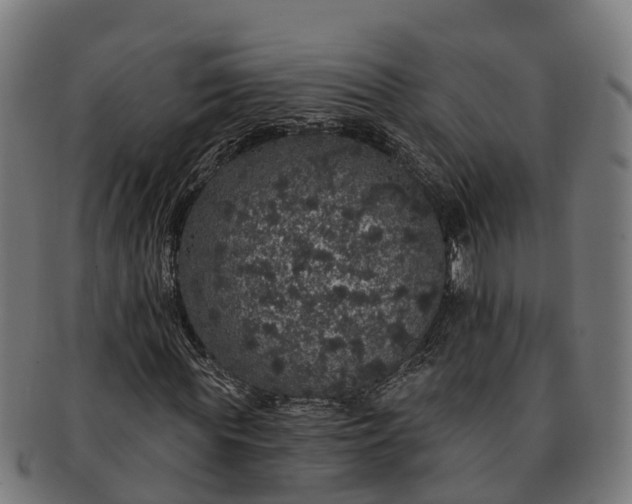 X0000091330819200708241158