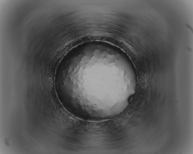 X0000091330821200708241158