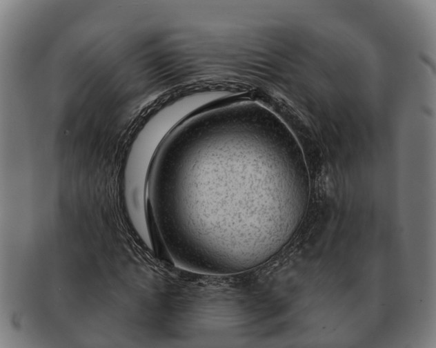 X0000091330822200708241158