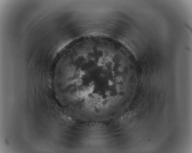 X0000091330823200708241158