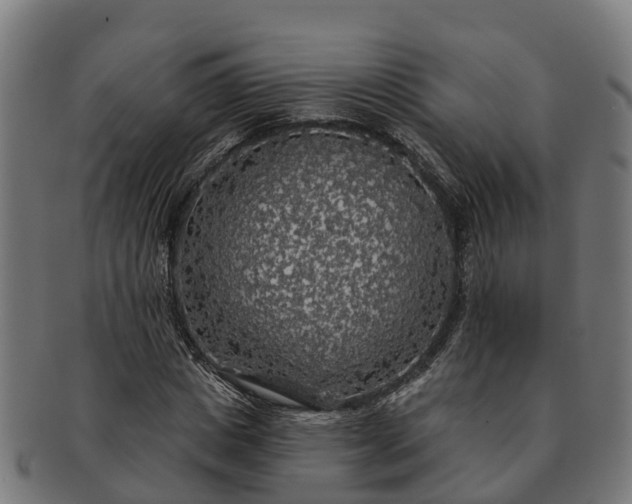 X0000091330825200708241158