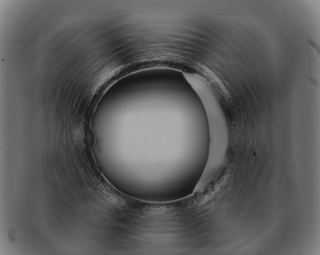 X0000091330826200708241158