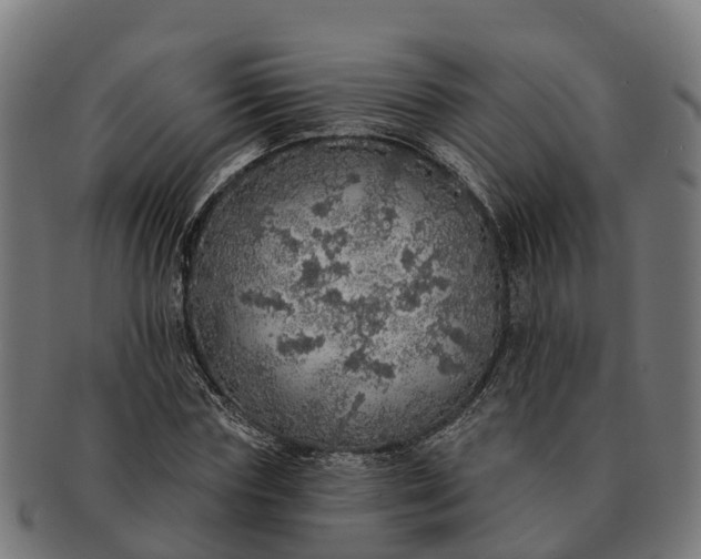 X0000091330827200708241158