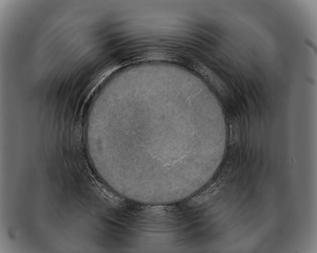 X0000091330828200708241158