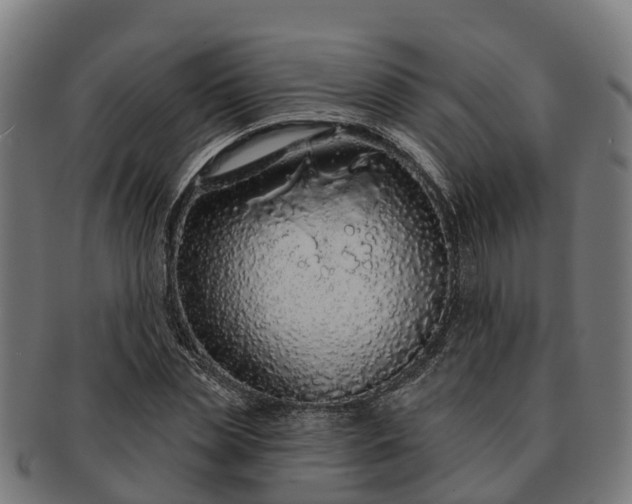 X0000091330829200708241158