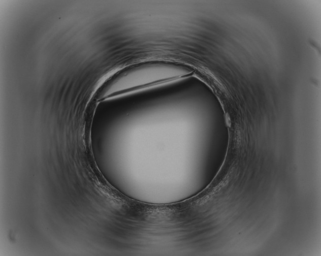 X0000091330830200708241158