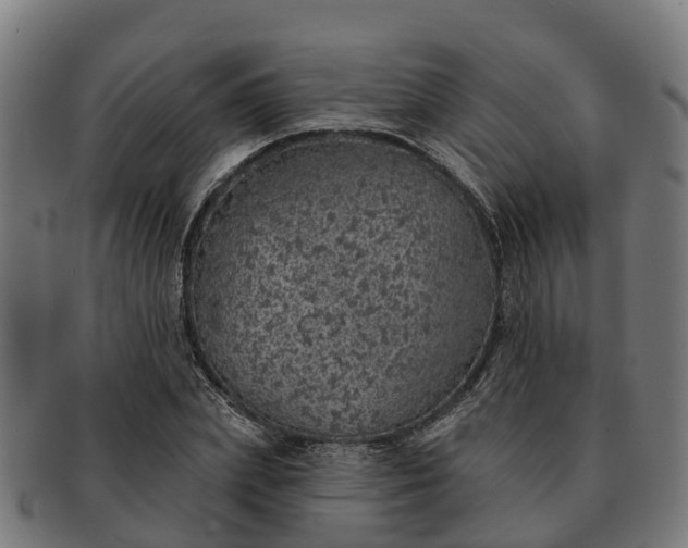 X0000091330831200708241158