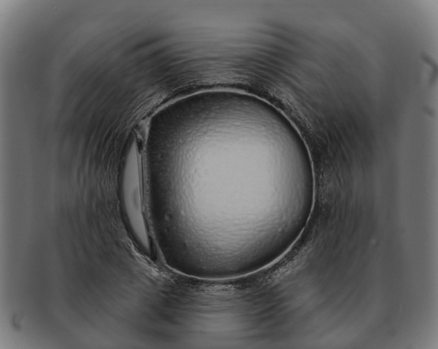 X0000091330833200708241158