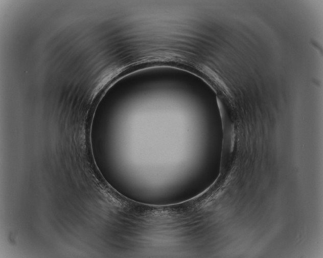 X0000091330834200708241158