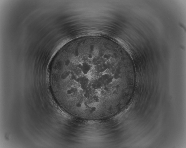 X0000091330835200708241158