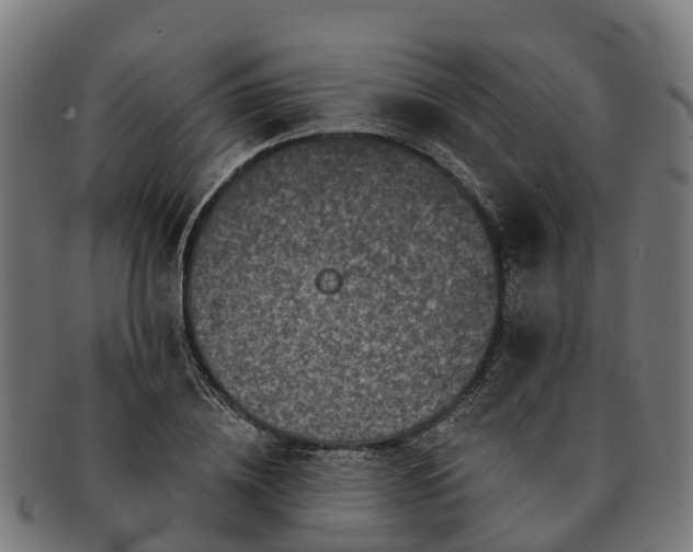 X0000091330836200708241158