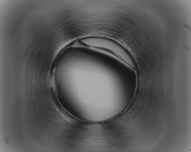 X0000091330838200708241158