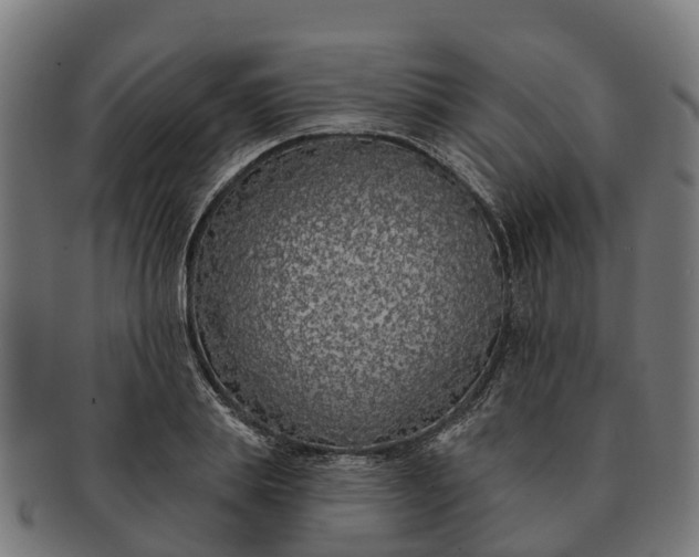 X0000091330839200708241158