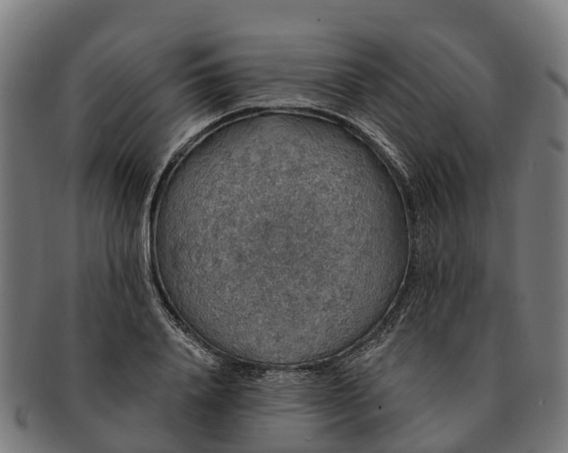 X0000091330840200708241158