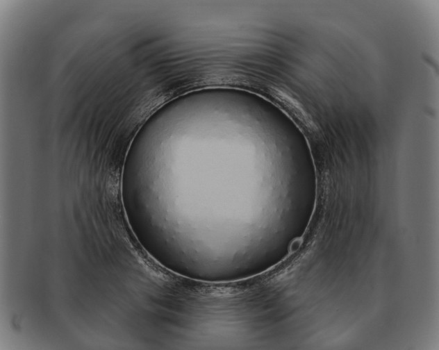 X0000091330841200708241158