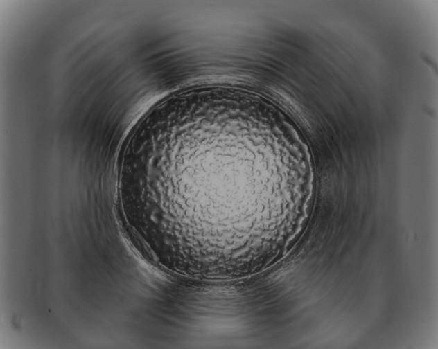 X0000091330844200708241158