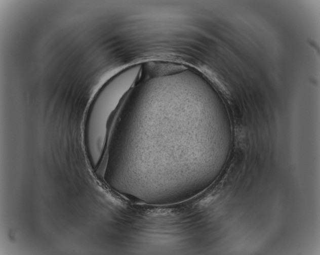 X0000091330846200708241158