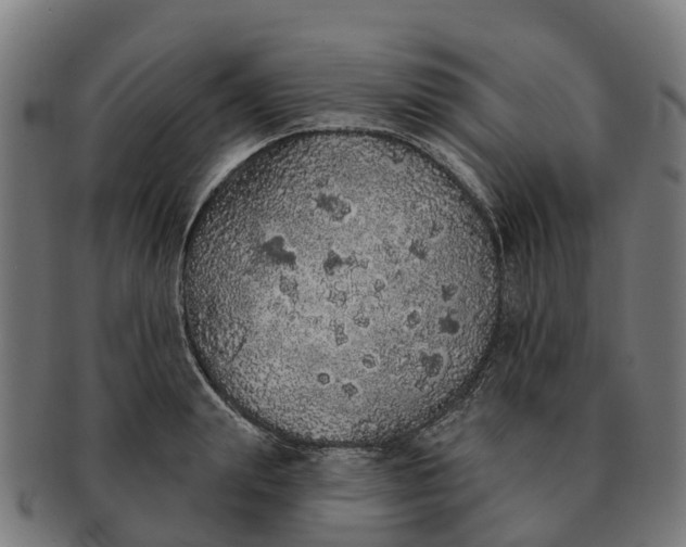 X0000091330847200708241158