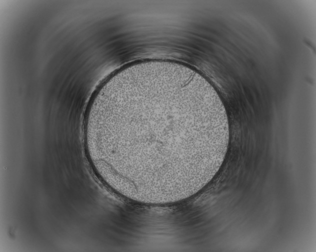 X0000091330848200708241158