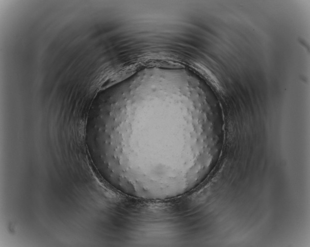 X0000091330849200708241158