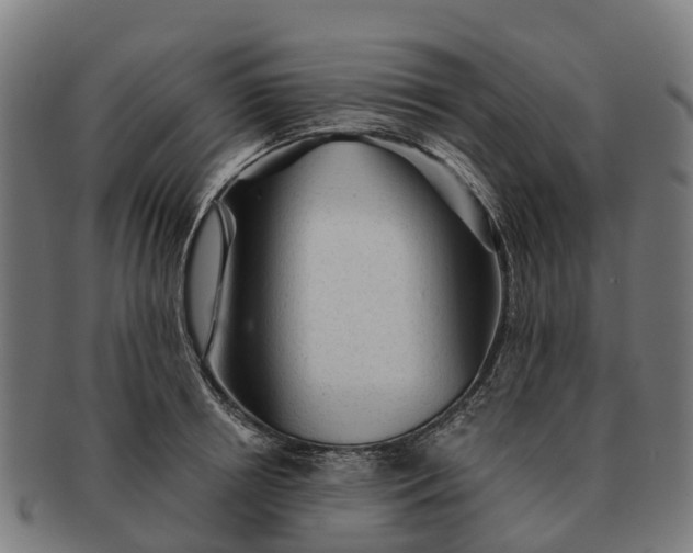 X0000091330850200708241158