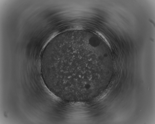 X0000091330851200708241158