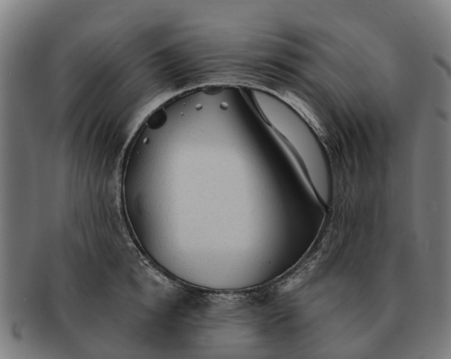 X0000091330854200708241159