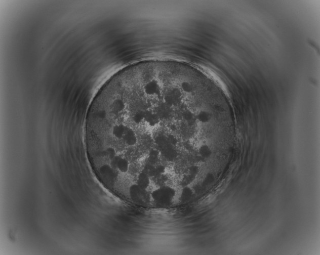 X0000091330855200708241159