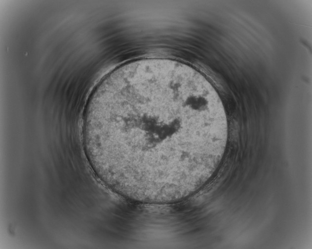 X0000091330856200708241159