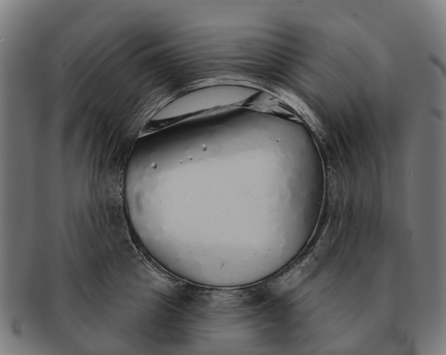 X0000091330857200708241159