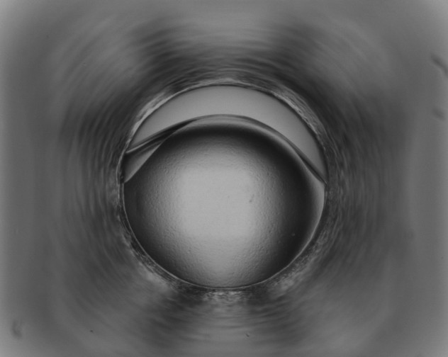 X0000091330858200708241159