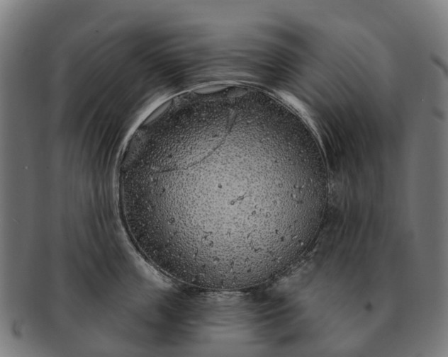 X0000091330859200708241159